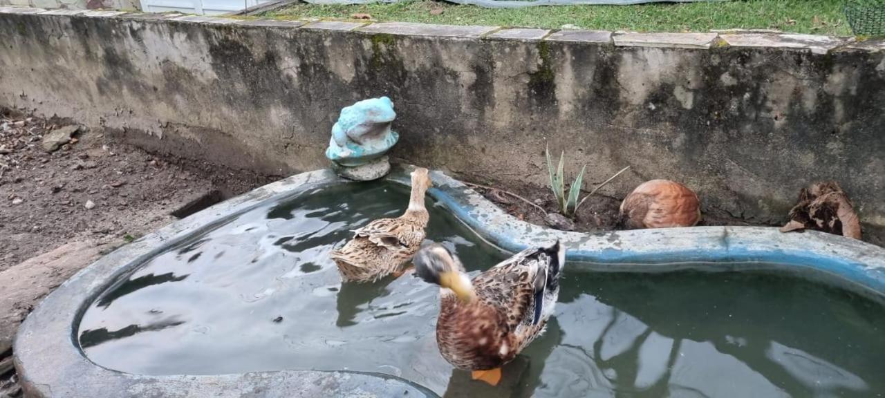 Itaparica - Vera Cruz 12 Pessoas エクステリア 写真