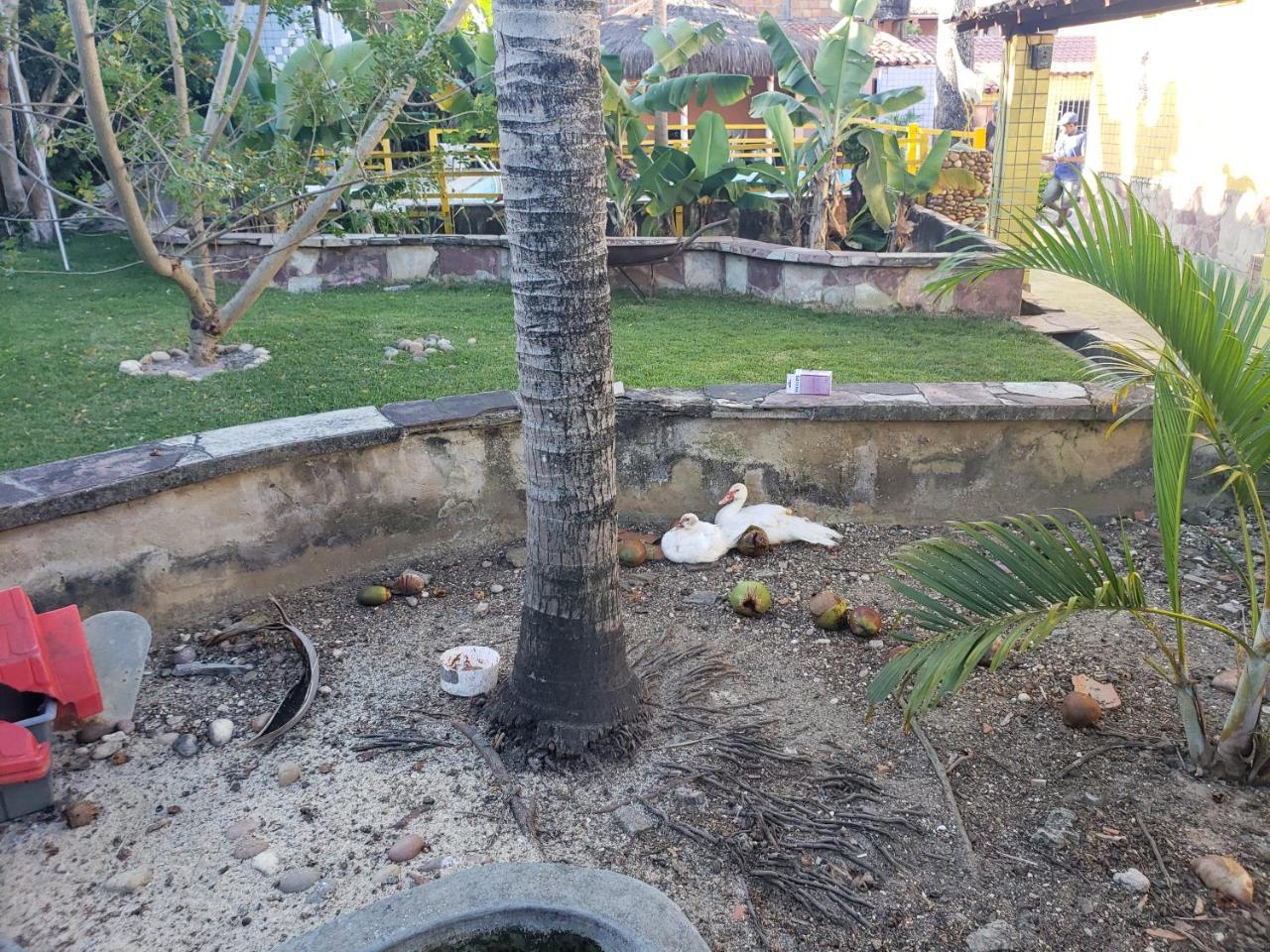 Itaparica - Vera Cruz 12 Pessoas エクステリア 写真